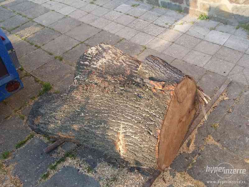 Lípové dřevo pro řezbáře - foto 6