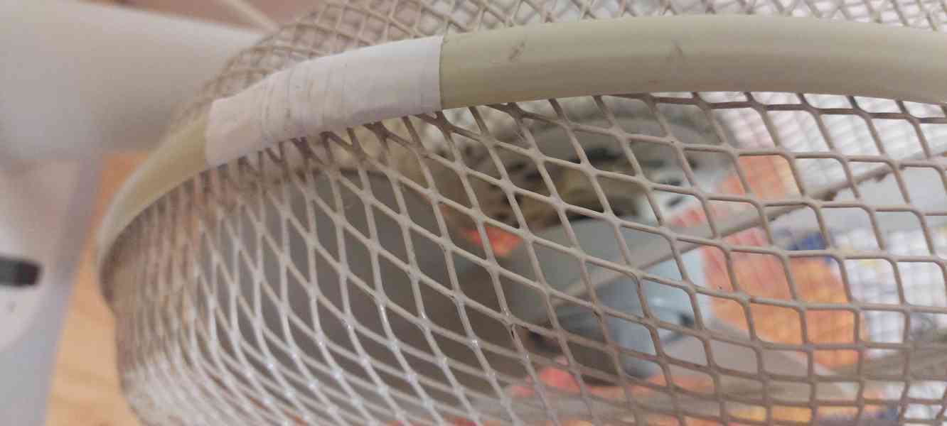 stolní ventilátor ECG - foto 3