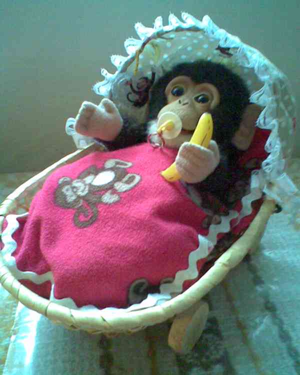 Dáreček balíček zdarma - foto 11