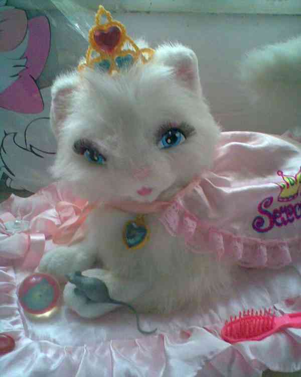 Dáreček balíček zdarma - foto 22