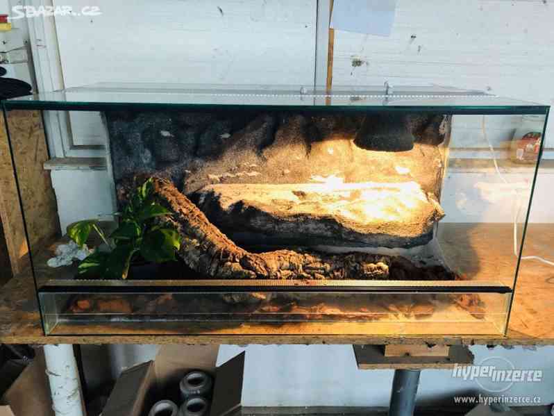 Nové terárium pro hada 100x50x50 cm - foto 1