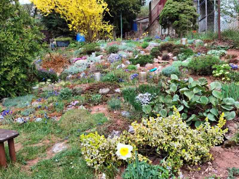 Zděná chata s krbem, studnou, Moravská Třebová  - foto 15