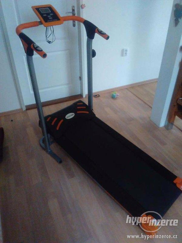 Bezecky pas insportline sprynkl - foto 1