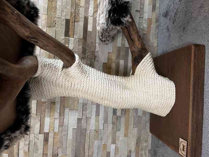 Kočičí strom  - foto 3