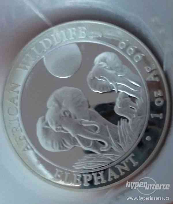 Somali Elephant 2014 1-Oz Ag - foto 1