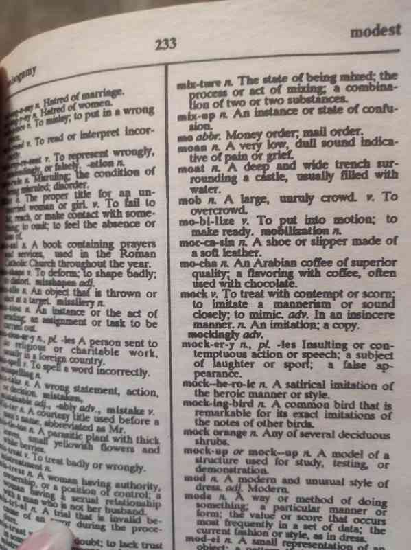 Webster's Dictionary  - foto 4