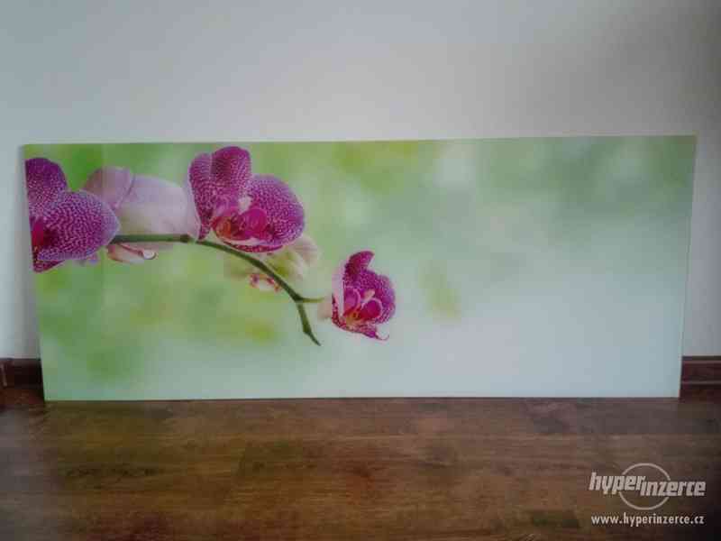 Obraz sklo 125x50 cm květina - foto 2
