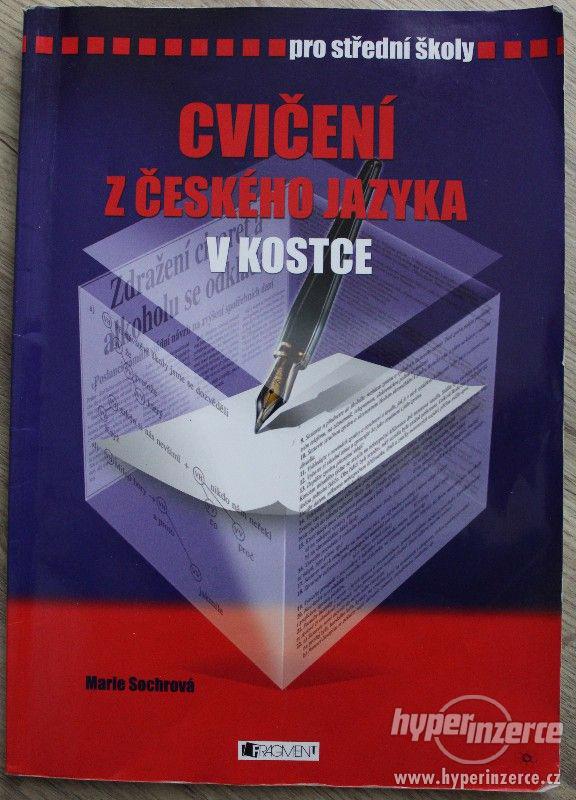 Cvičení z českého jazyka v kostce - foto 1