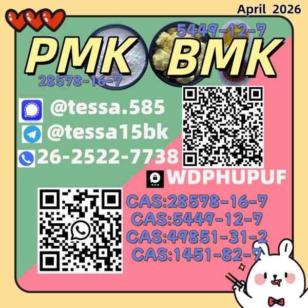 PM.K 28578-16-7 organized supply, BMK 5449-12-7 included - foto 2