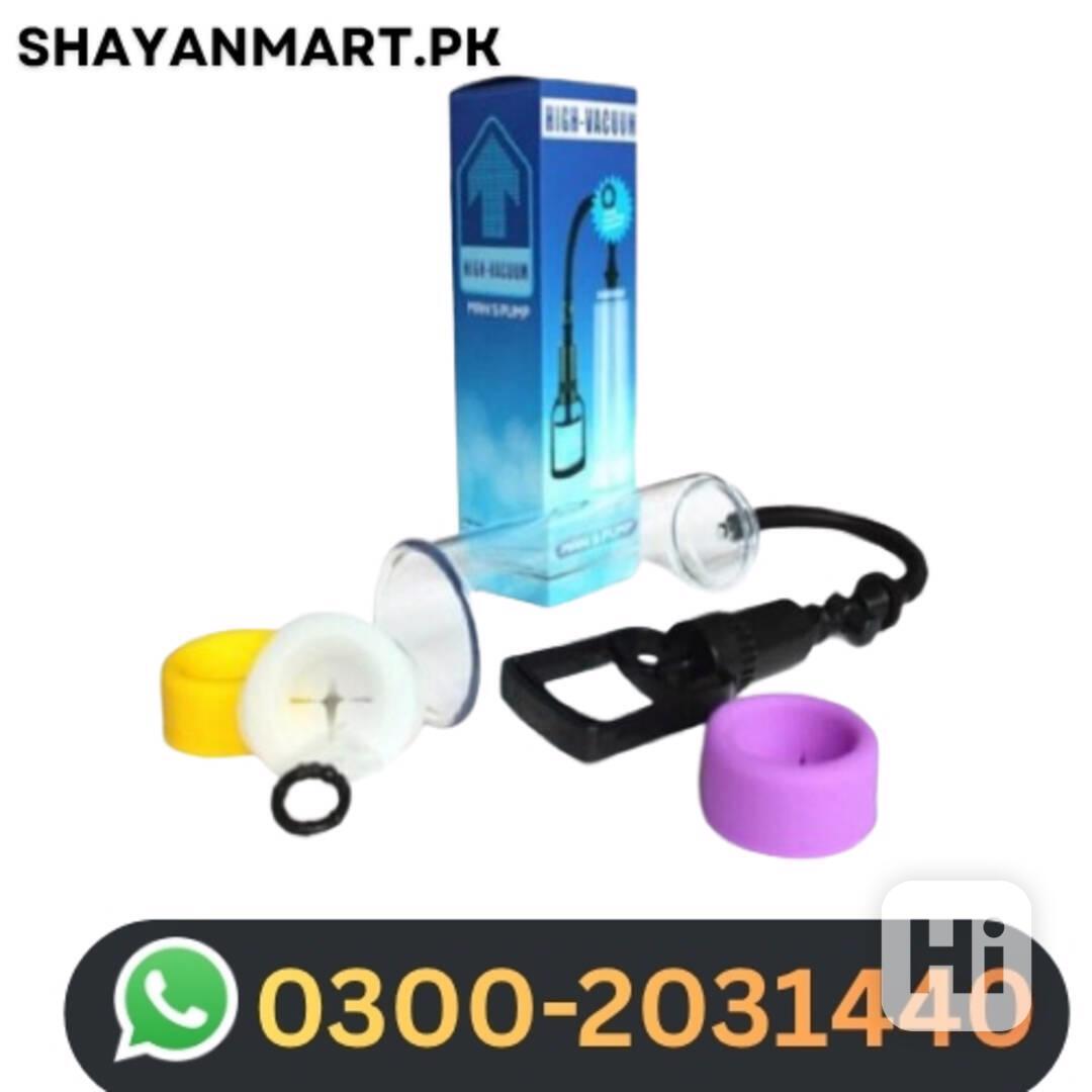 Handsome Price In Karachi– 03002031440 , – Free Pet - foto 1