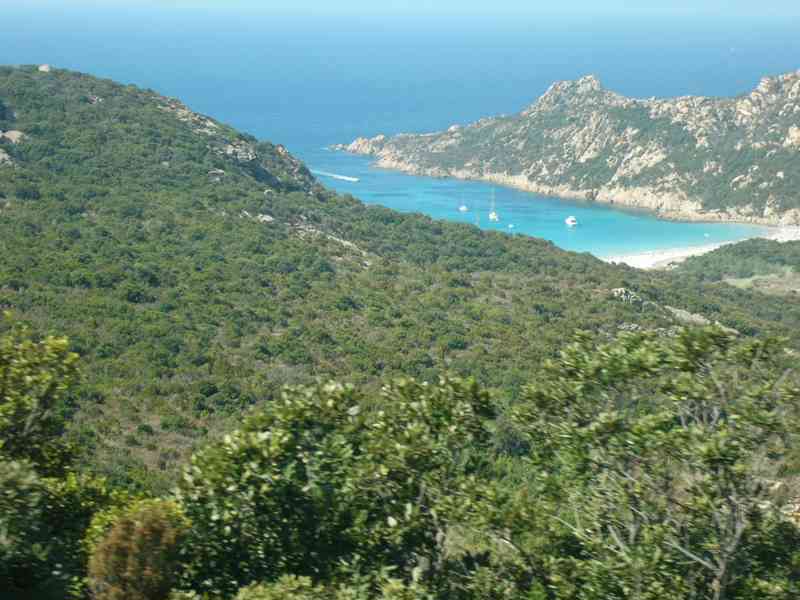 Doučování matematiky a ekonomických předmětů - foto 1