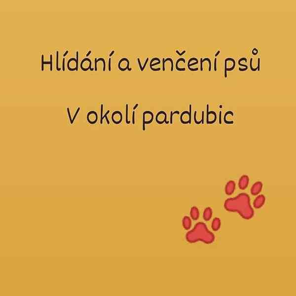 Hlídání psů - foto 1