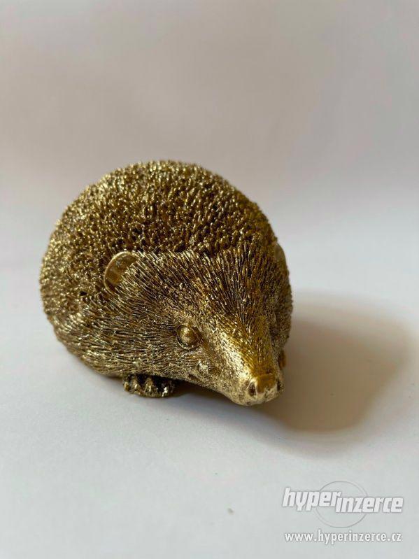 Zlatý ježek - soška - foto 3