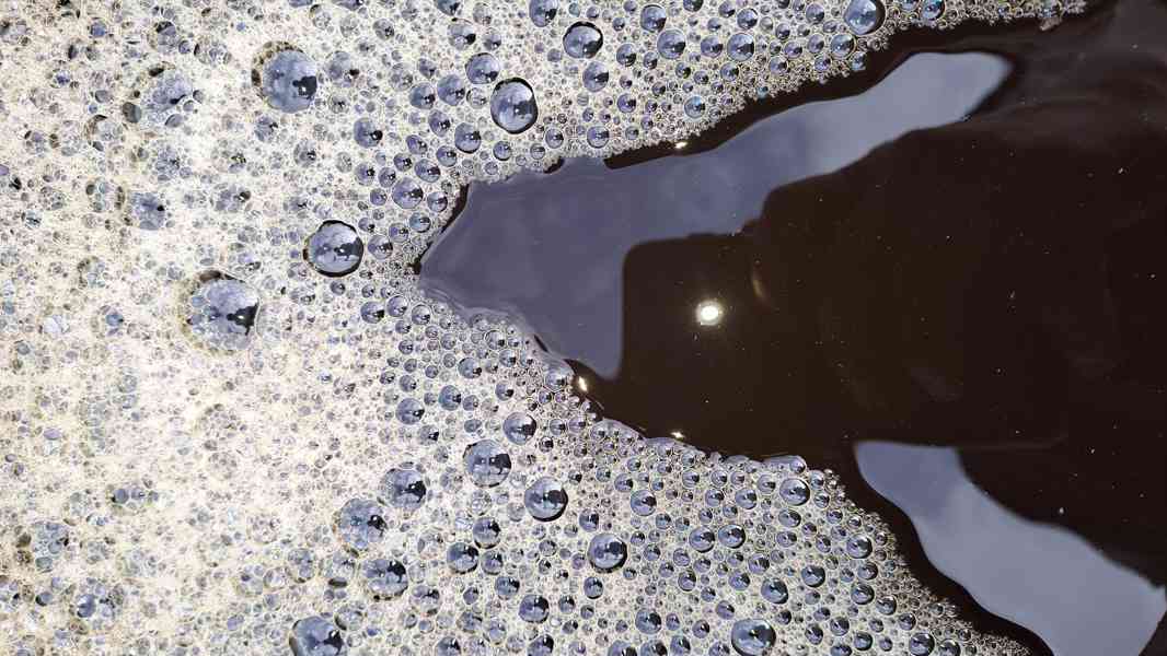 Vlašské ořechy domácí tinktura 80% ovocná pálenka - foto 3