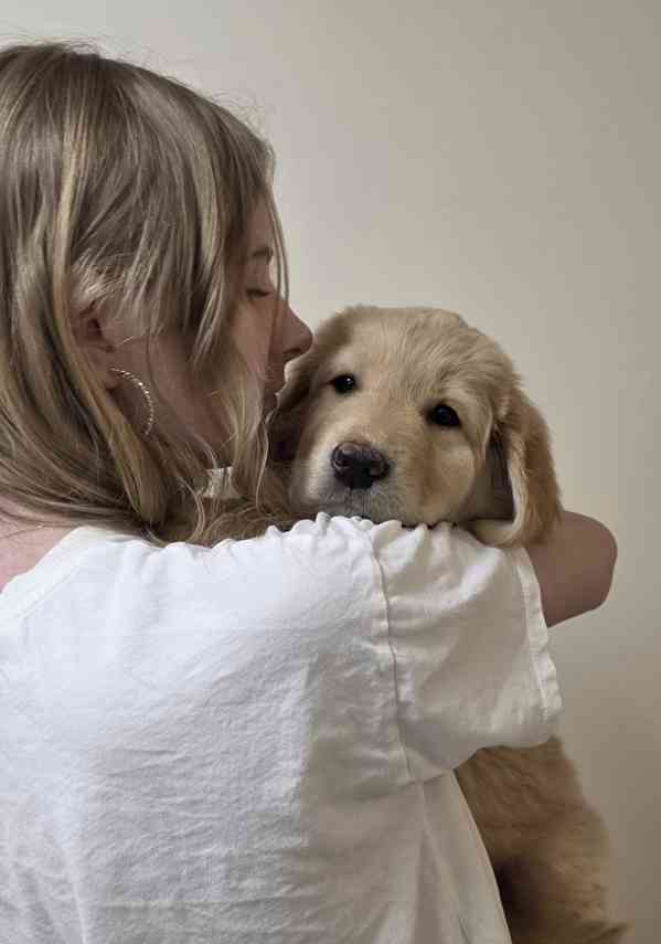 Štěně Hovawart  - foto 7