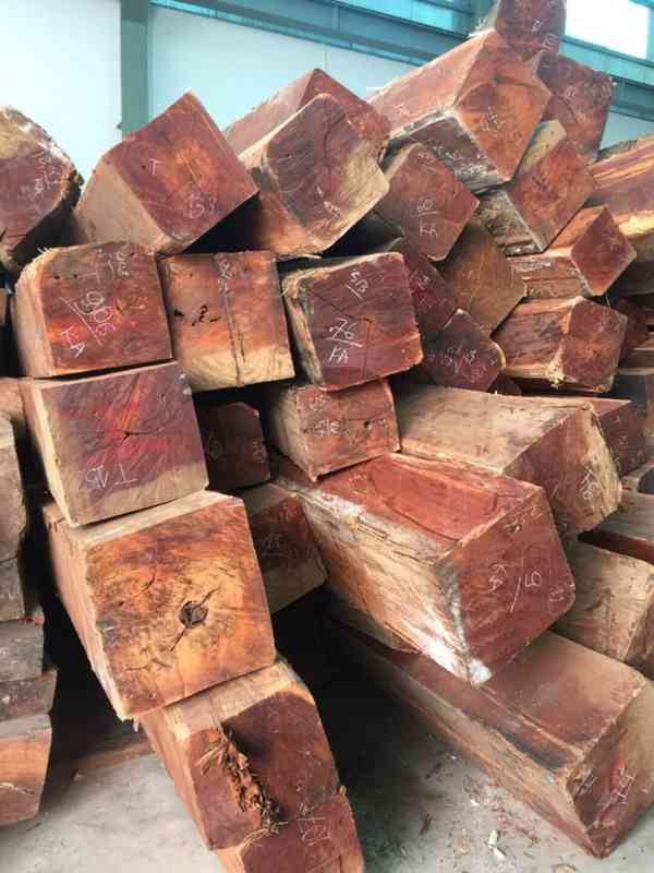 Timbars in Africa  uganda  - foto 7