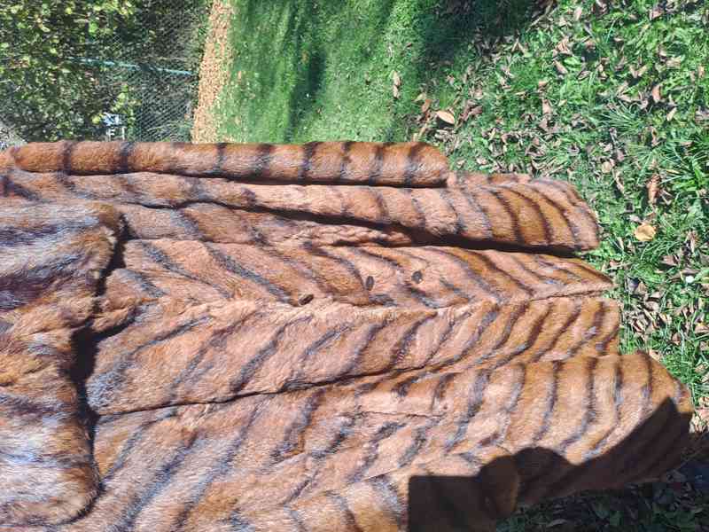 Prodám kožichy - foto 2