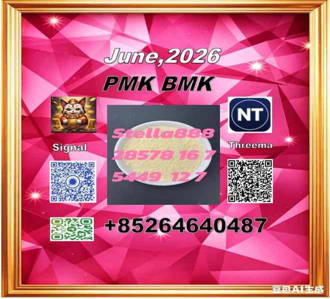 best service cas 28578-16-7 and BM.K cas 5449-12-7/49851-31- - foto 2