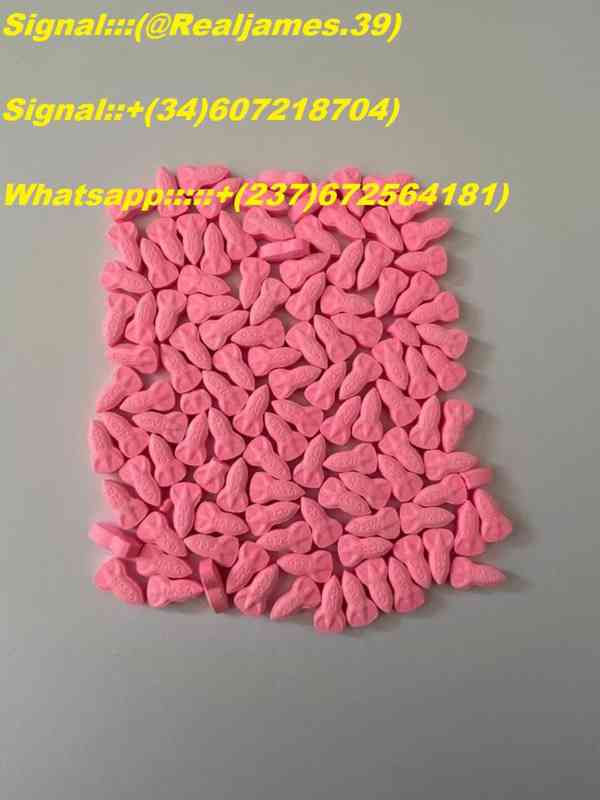 Order Xanax, oxycontin, oxycodone, methadone in usa,uk,europ - foto 2