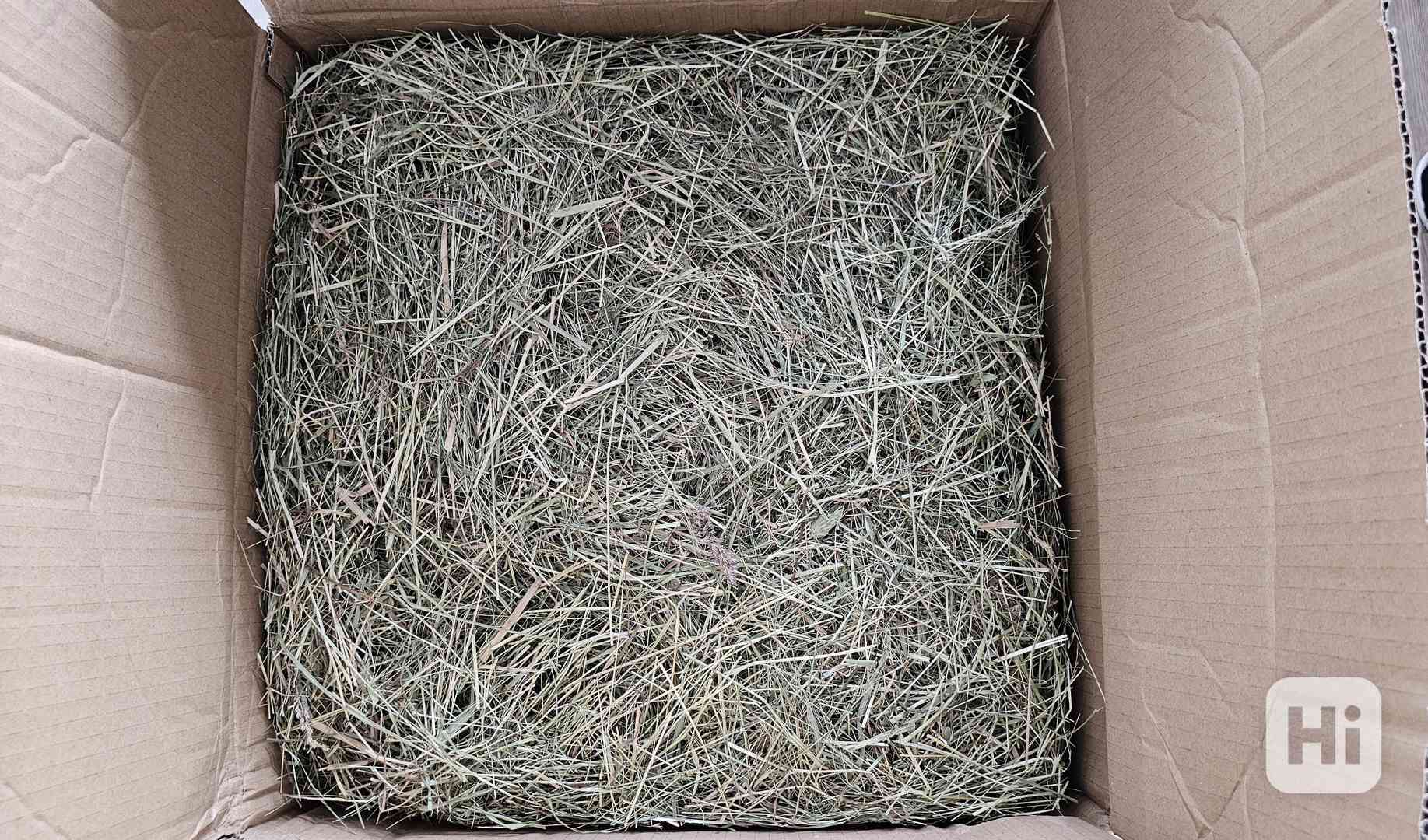 Prémiové seno - první seč 12kg - nové  - foto 1