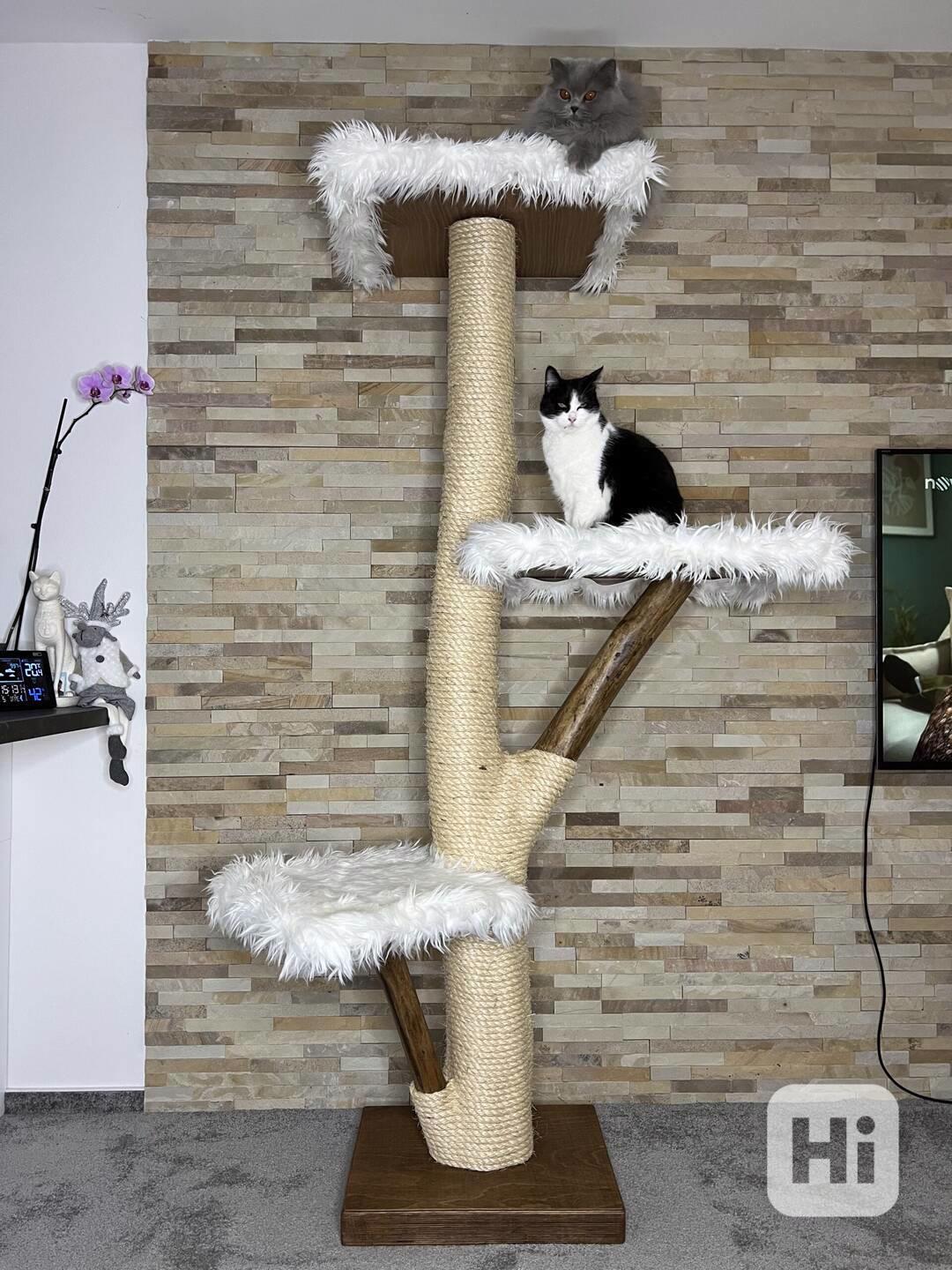 Stromy pro kočky - foto 1