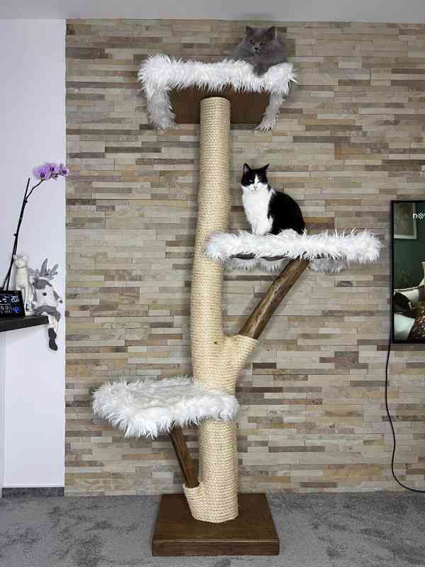 Stromy pro kočky