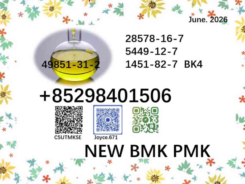 5449-12-7 & 28578-16-7 BMK 1451-82-7/49851-31-2 PMK  - foto 4