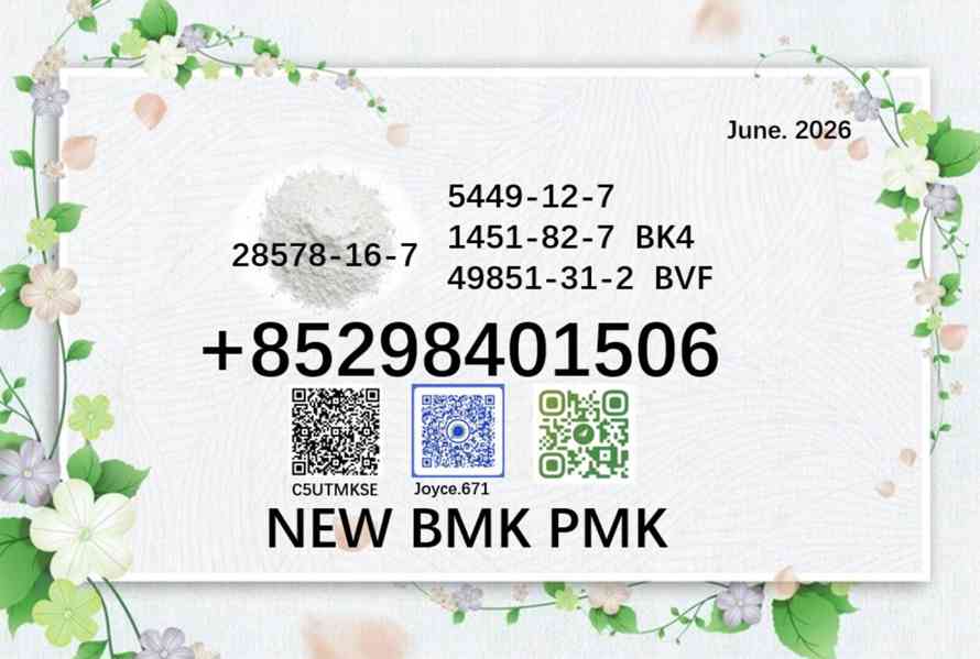 5449-12-7 & 28578-16-7 BMK 1451-82-7/49851-31-2 PMK 