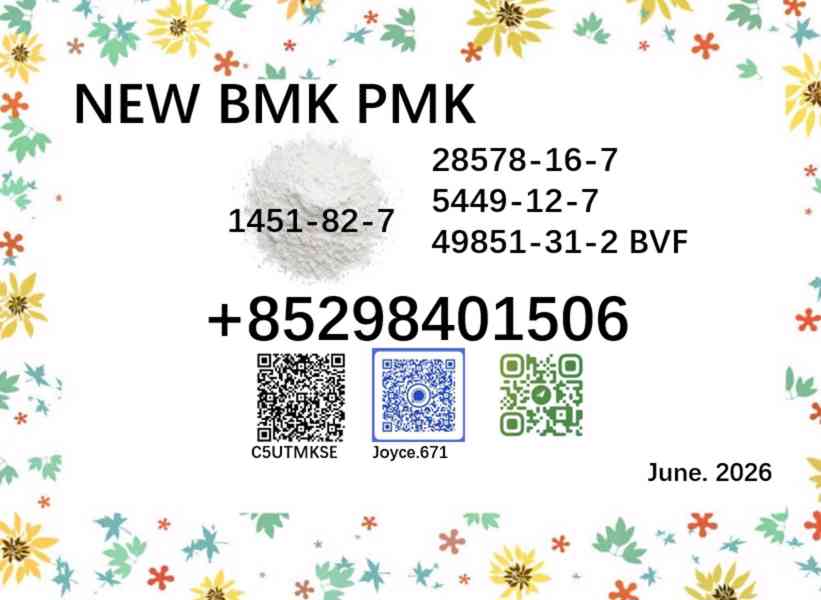 5449-12-7 & 28578-16-7 BMK 1451-82-7/49851-31-2 PMK  - foto 2