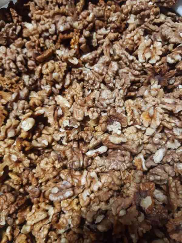 Velké množství vlašských ořechů na prodej! - foto 2