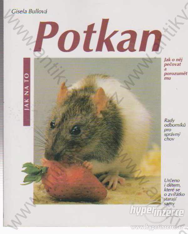 Potkan jako domácí zvíře Gisela Bullová 2001 - foto 1