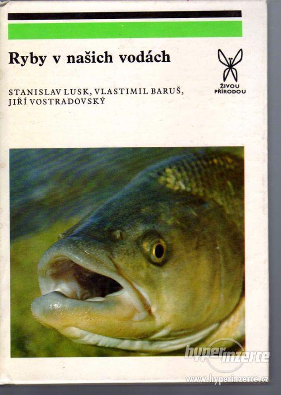 Ryby v našich vodách 1983 1.vydání  Jiří Vostradovský, Stani