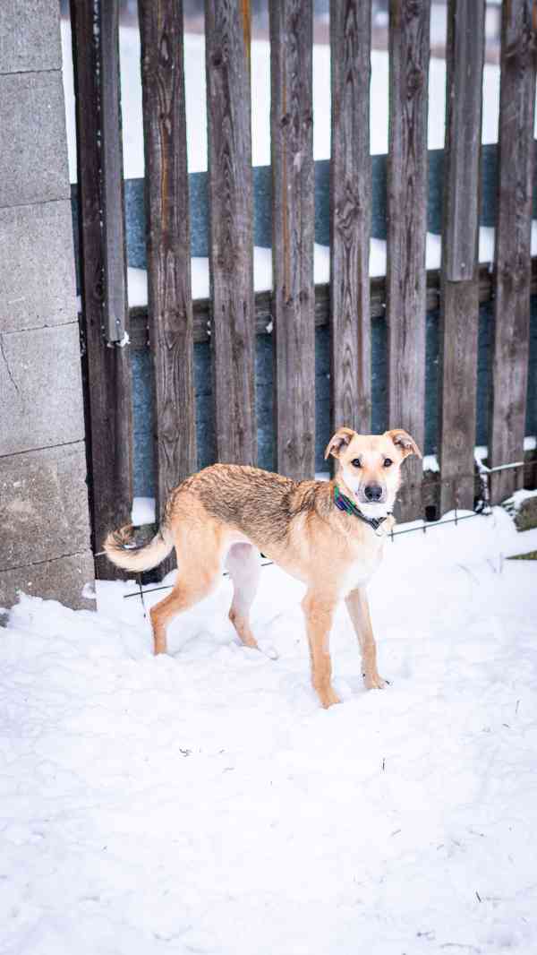 Ariana - 9ti měsíční hodná holčička  - foto 2