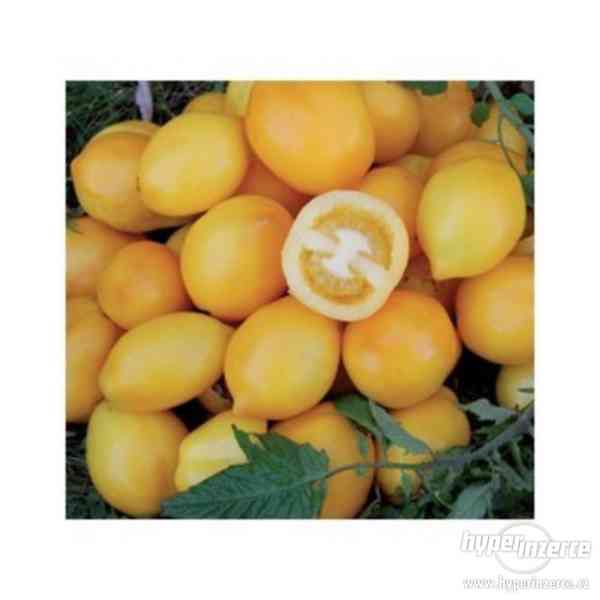 Rajče Lemon Plum - semena - foto 1