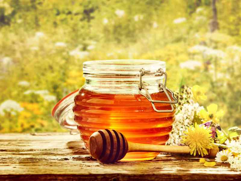 Domácí med z Jižní Moravy