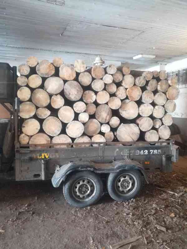 Suchá borovice na otop - foto 2
