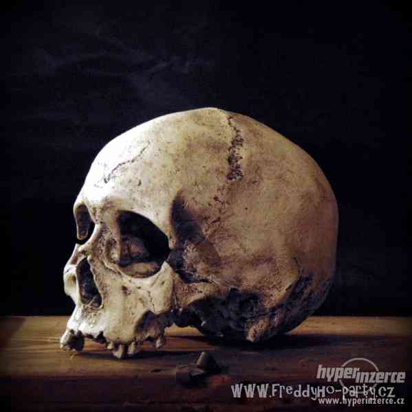 Replika člověka v životní velikosti. Lebky a kosti - foto 8