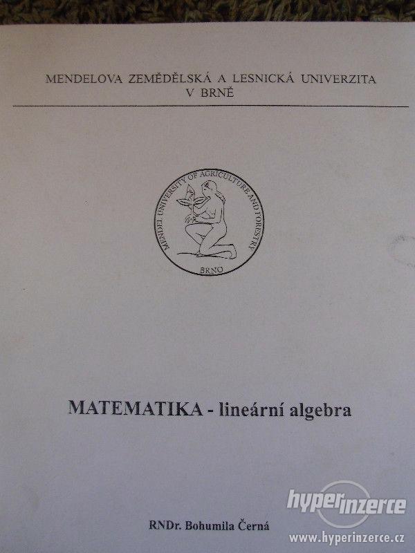 Matematika - lineární algebra RNDr. Bohumila Černá - foto 1