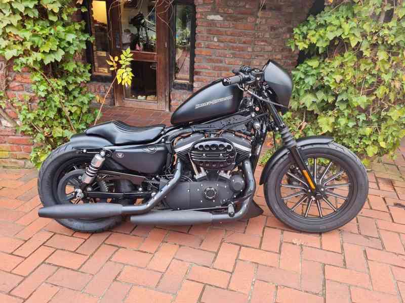 Harley-Davidson Sportster 883 Iron - foto 2