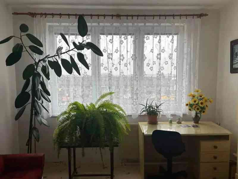 Pronájem bytu 3+1 73 m² - foto 9