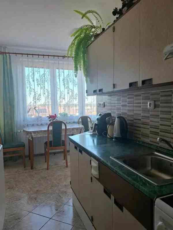 Pronájem bytu 3+1 73 m² - foto 4