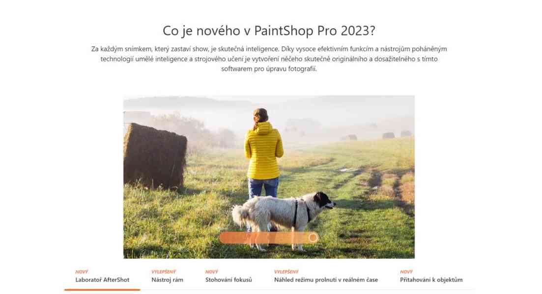 PaintShop Pro 2023 - foto 3