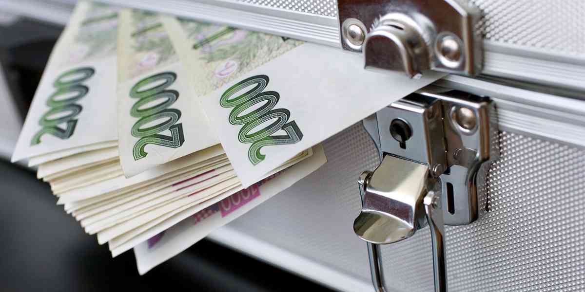 Půjčky až do výše 20 000 000 Kč/EUR od soukromého investora 