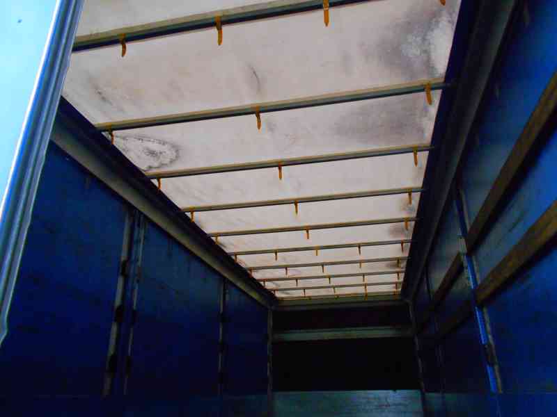 PANAV PV018H - foto 14