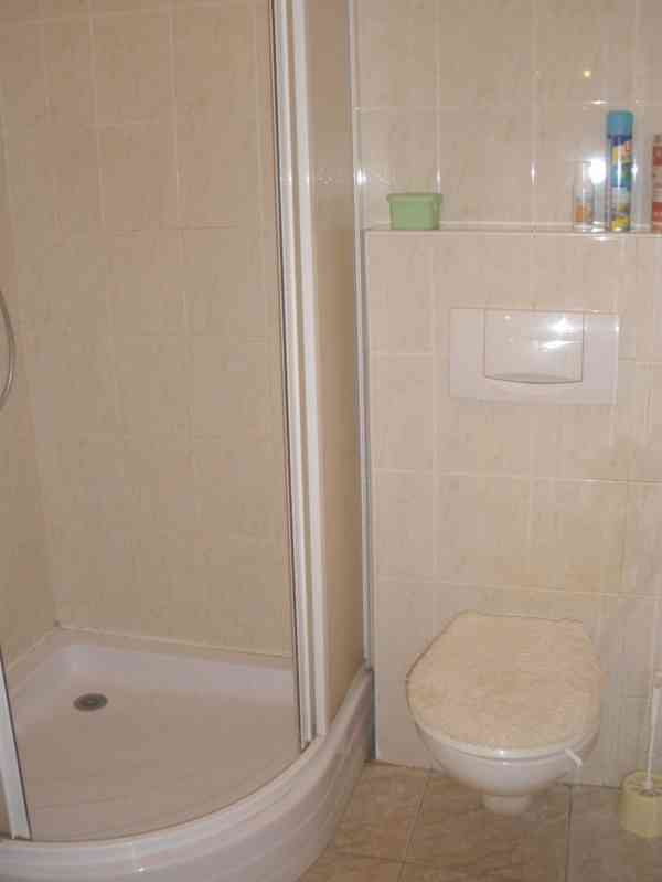 Nájem bytu  1+kk v ND Brno střed, Mezírka, zařízený - foto 7