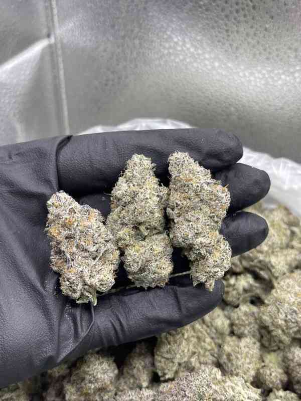 Telegram {rey662} where to buy cocaine in Stockholm - foto 3