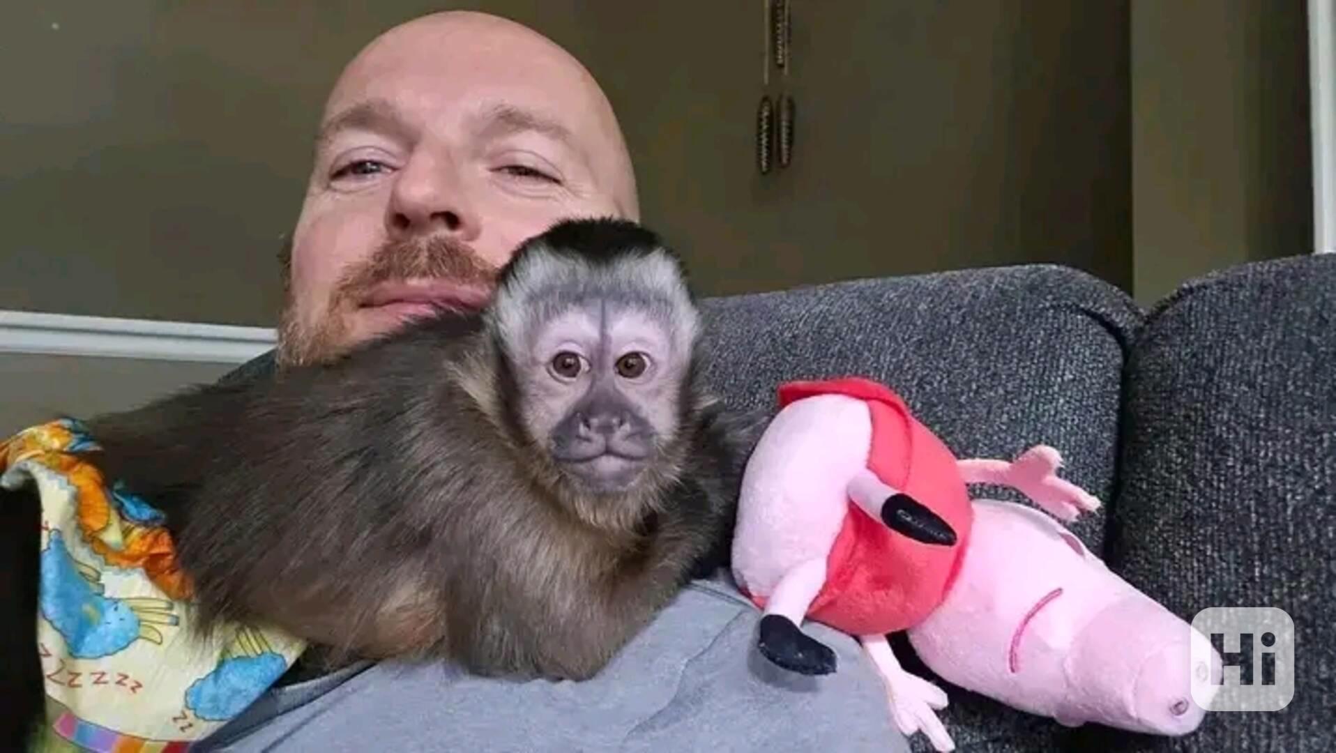  Kapucínští herci, kteří vás rozesmějí - foto 1