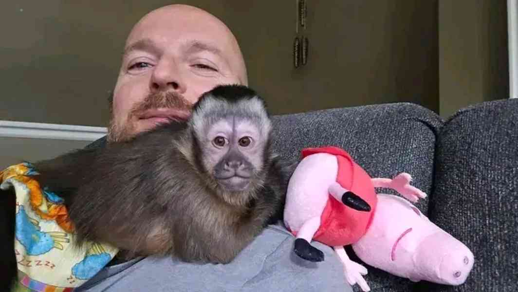  Kapucínští herci, kteří vás rozesmějí - foto 1