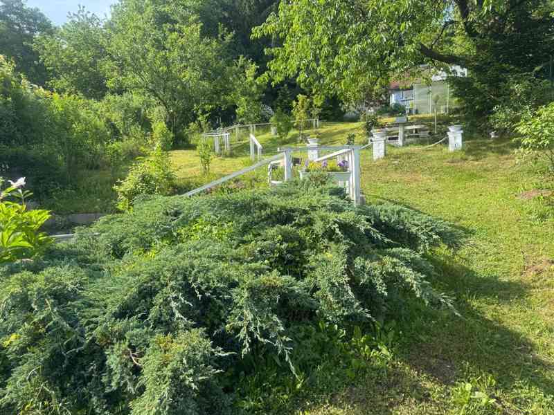 Prodej chaty se zahradou 668 m², Děčín IV-Podmokly - foto 5