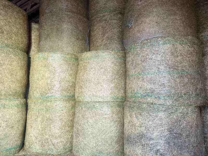 Kvalitní certifikované bio seno skladované s dopravou